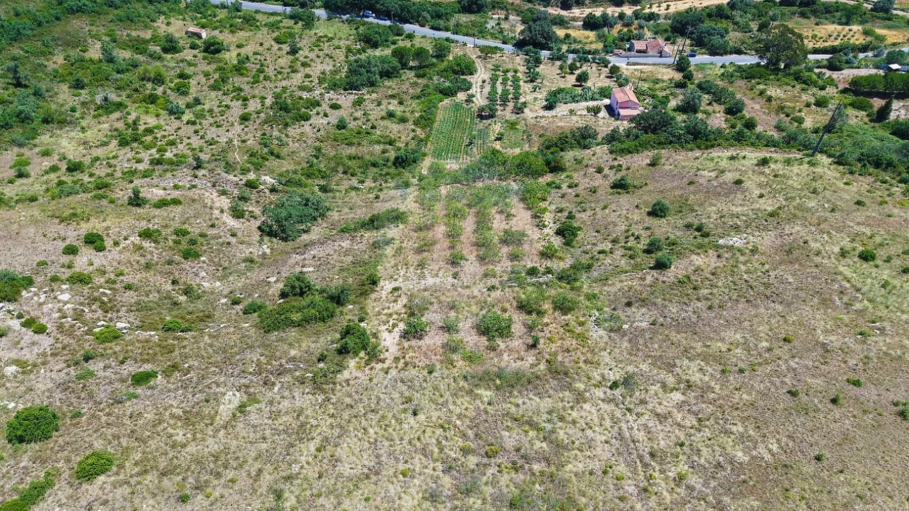 Terreno para Venda em Santiago dos Velhos Foto 7