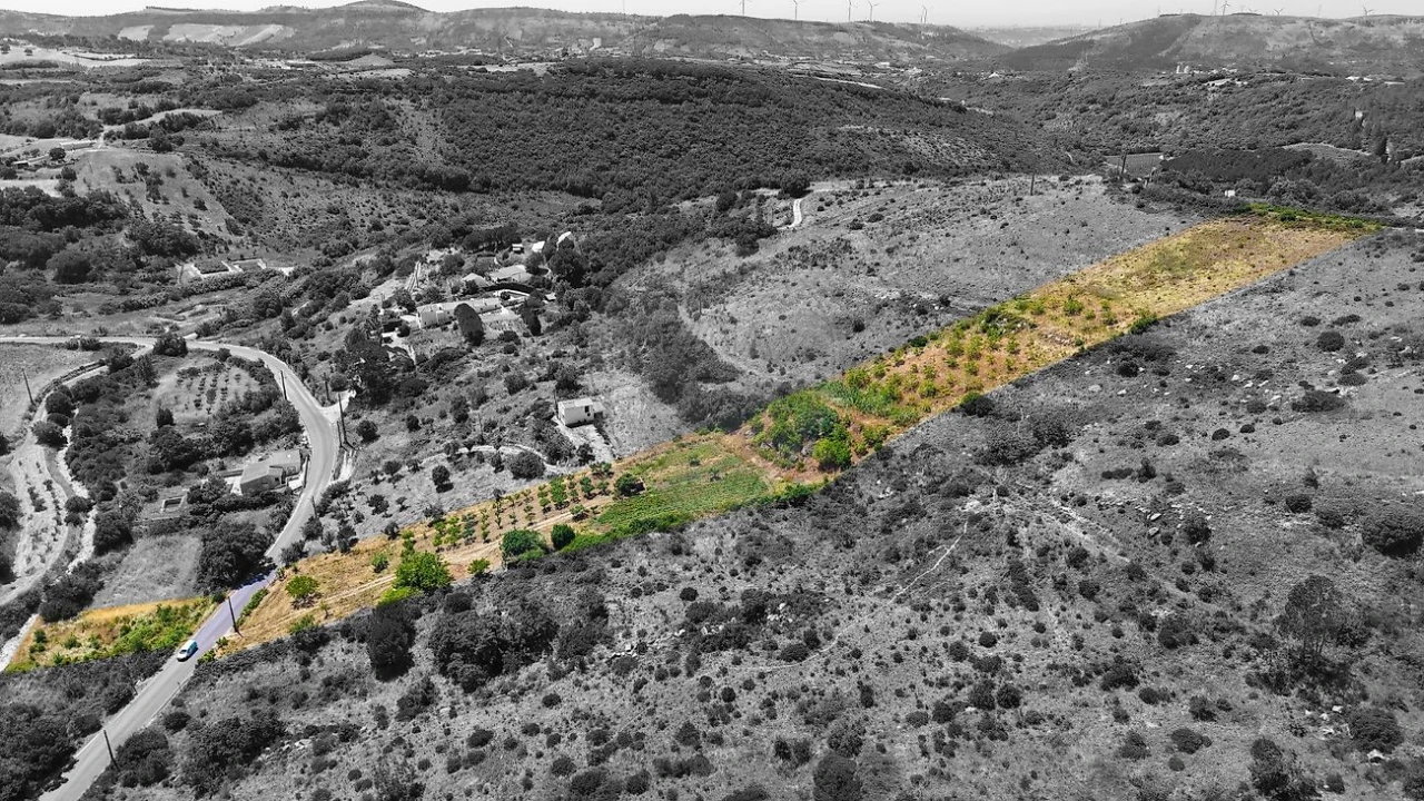 Terreno para Venda em Santiago dos Velhos Foto 12