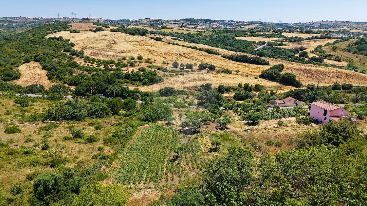 Terreno para Venda em Santiago dos Velhos Foto 8