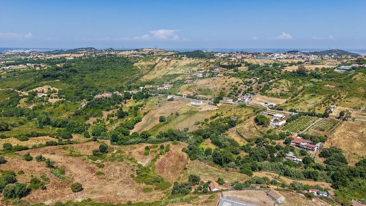 Terreno para Venda em Cardosas Foto 14