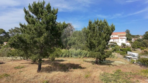 Terreno para Venda em Vale da Pedra