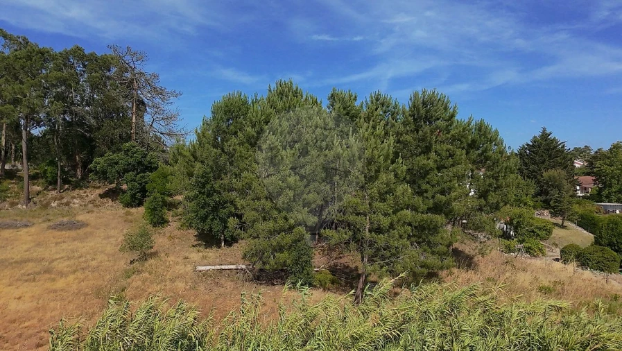 Terreno para Venda em Vale da Pedra Foto 12