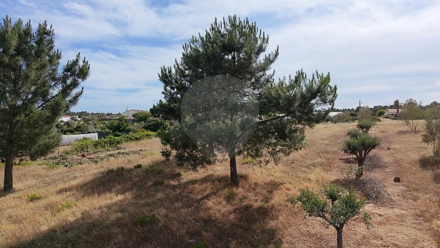Terreno para Venda em Vale da Pedra Foto 9