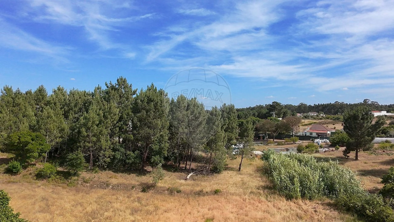 Terreno para Venda em Vale da Pedra Foto 14