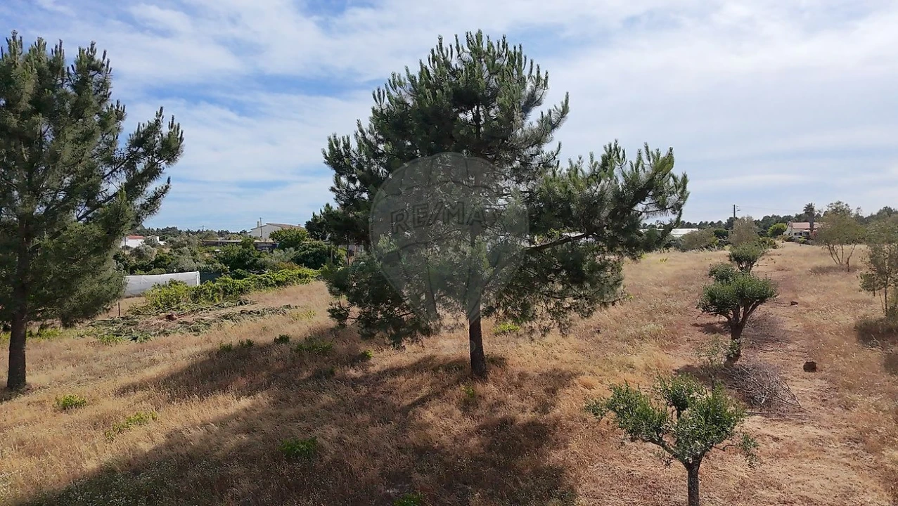 Terreno para Venda em Vale da Pedra Foto 9