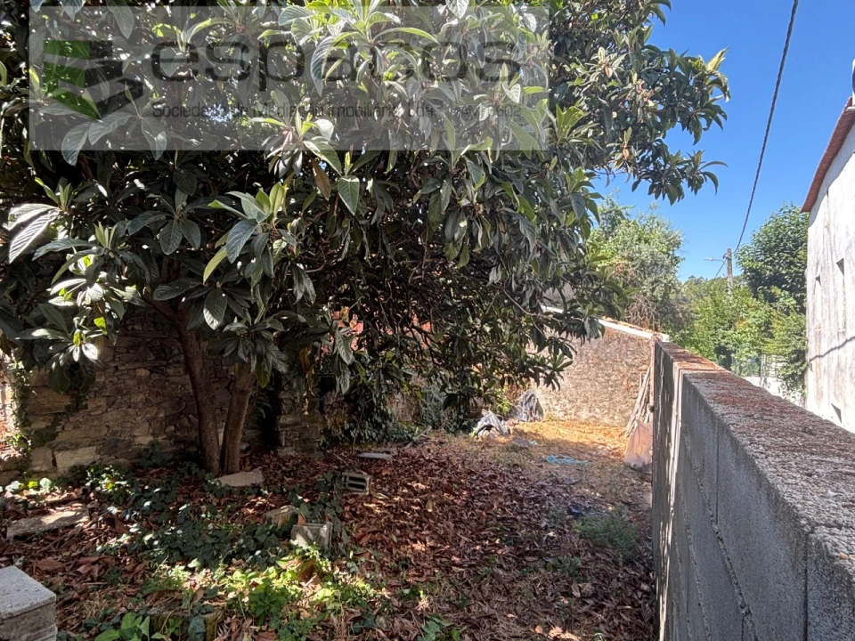 Moradia T2 para Venda em Sobreira Formosa e Alvito da Beira Foto 25