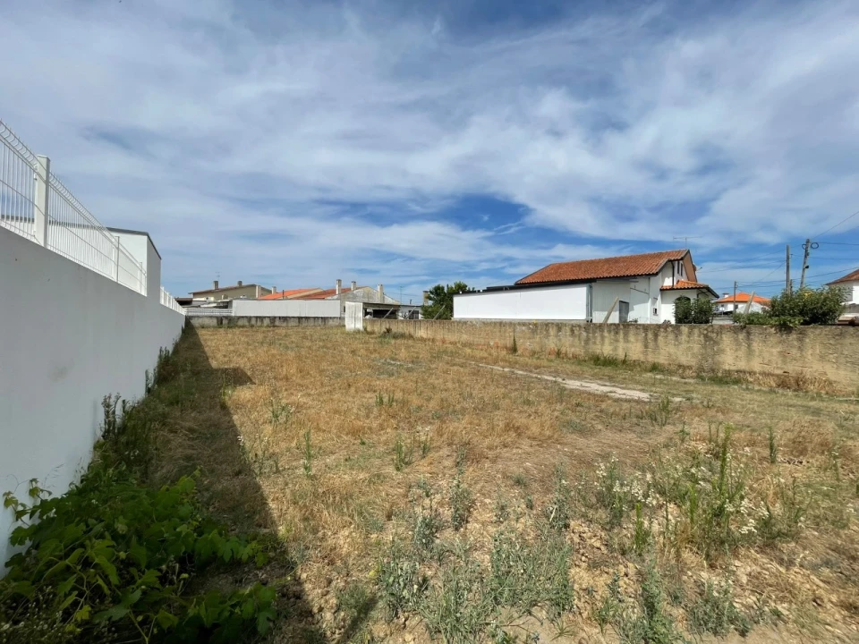 Terreno Agricola ou Rústico para Venda em Beduído e Veiros Foto 2