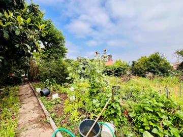 Moradia T3 para Venda em Geraz do Lima (Santa Maria, Santa Leocádia, Moreira), Deão