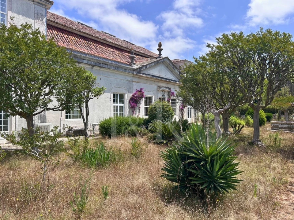 Quinta T20 para Venda em Maxial e Monte Redondo Foto 9