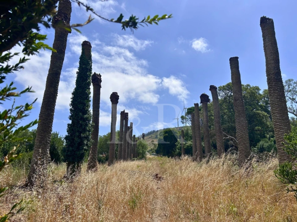 Quinta T20 para Venda em Maxial e Monte Redondo Foto 12