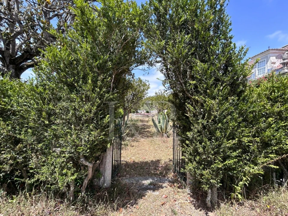 Quinta T20 para Venda em Maxial e Monte Redondo Foto 13
