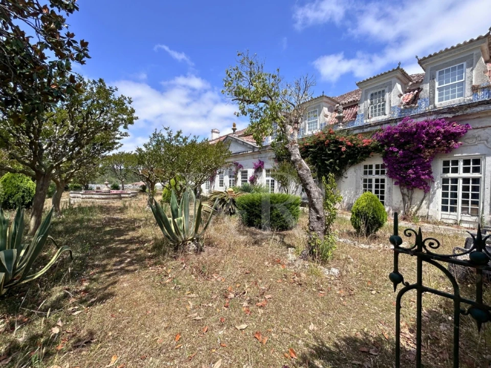 Quinta T20 para Venda em Maxial e Monte Redondo Foto 16
