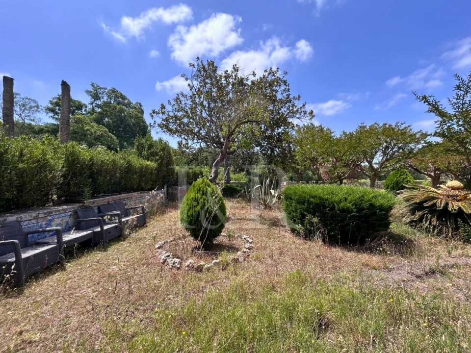 Quinta T20 para Venda em Maxial e Monte Redondo Foto 17