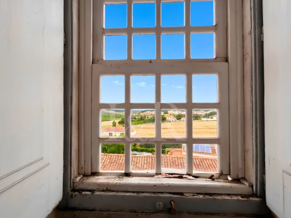 Quinta T20 para Venda em Maxial e Monte Redondo Foto 54