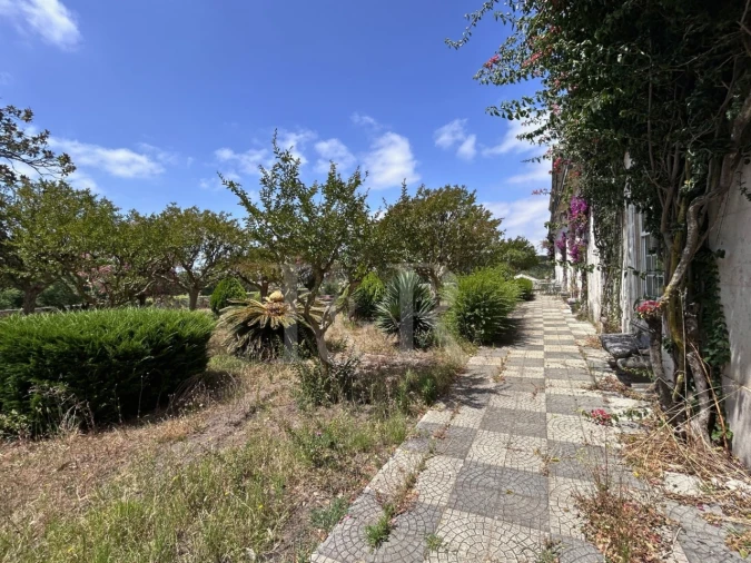 Quinta T20 para Venda em Maxial e Monte Redondo Foto 15