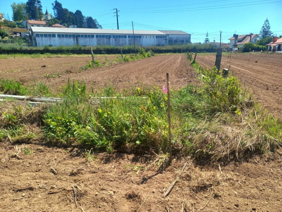 Terreno para Venda em Branca Foto 7