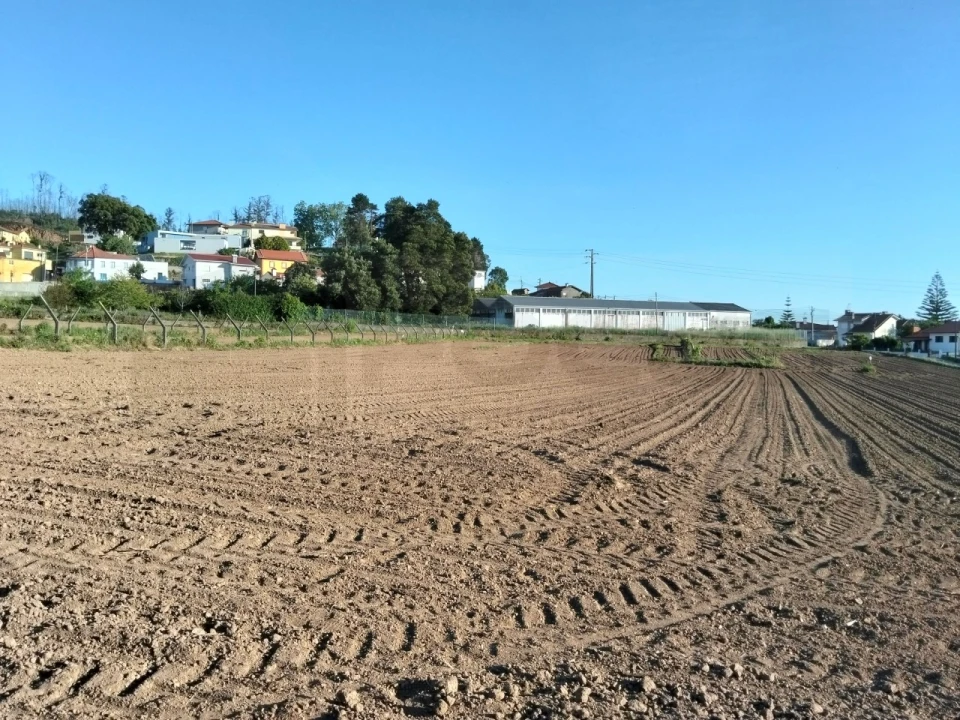Terreno para Venda em Branca Foto 4