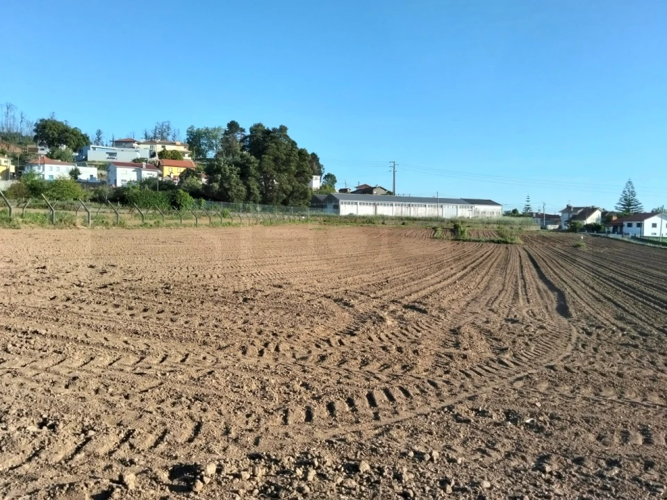 Terreno para Venda em Branca Foto 8