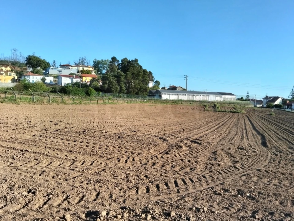 Terreno para Venda em Branca Foto 1
