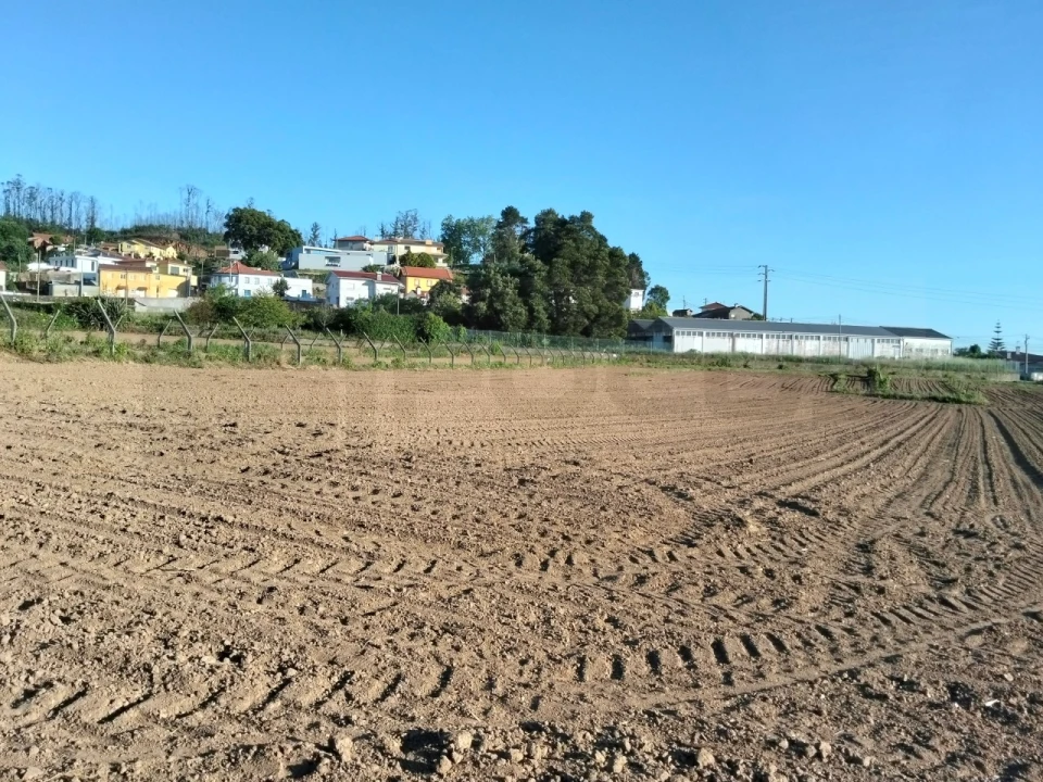 Terreno para Venda em Branca Foto 2