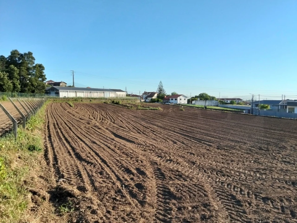 Terreno para Venda em Branca Foto 9