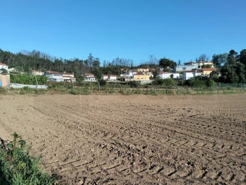Terreno para Venda em Branca