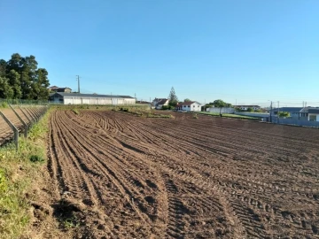 Terreno para Venda em Branca