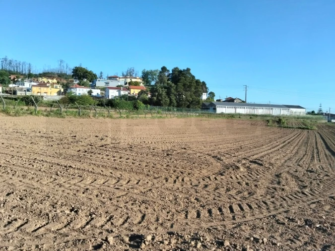 Terreno para Venda em Branca Foto 2