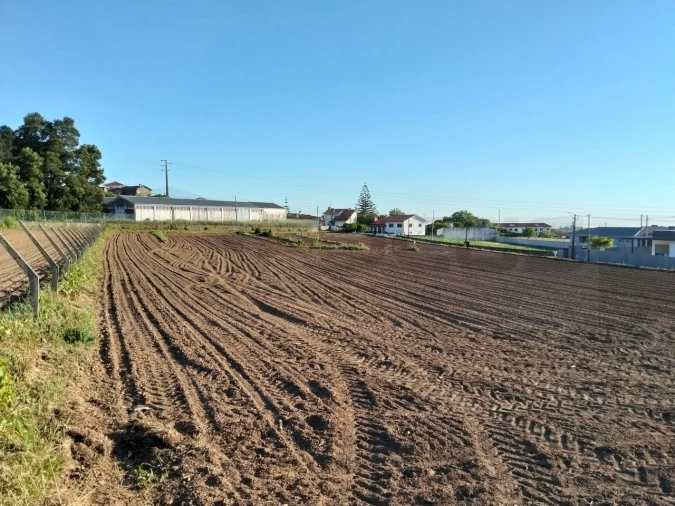 Terreno para Venda em Branca Foto 9