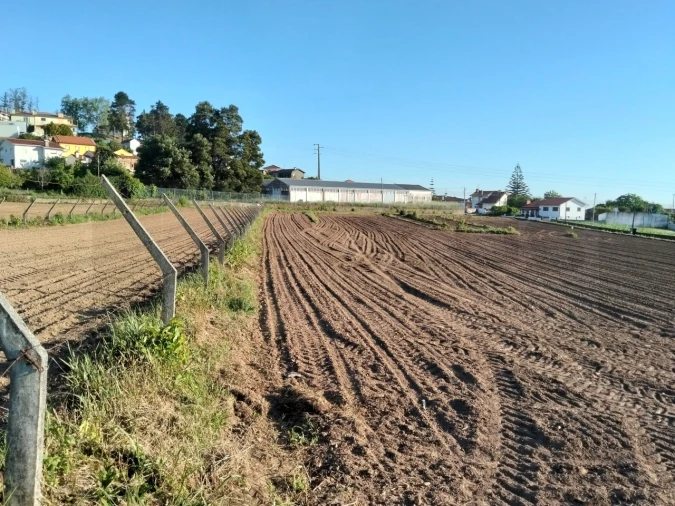 Terreno para Venda em Branca Foto 11