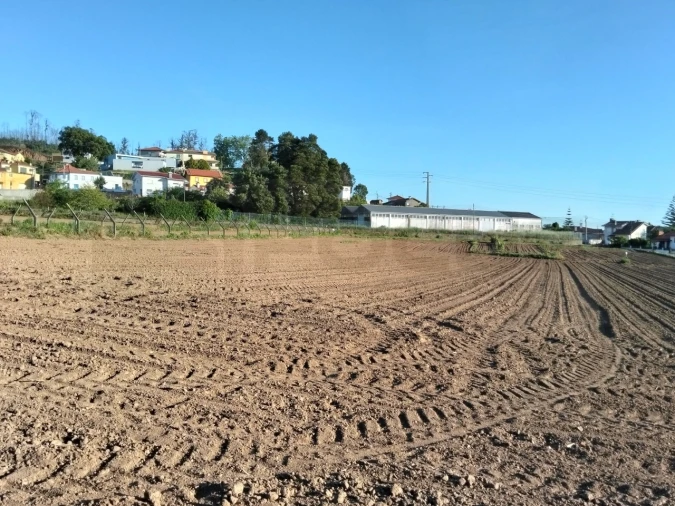 Terreno para Venda em Branca Foto 13