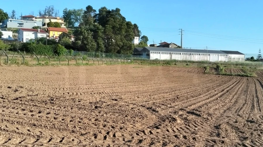 Terreno para Venda em Branca