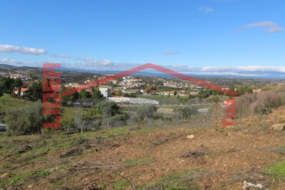 Terreno para Venda em Mirandela