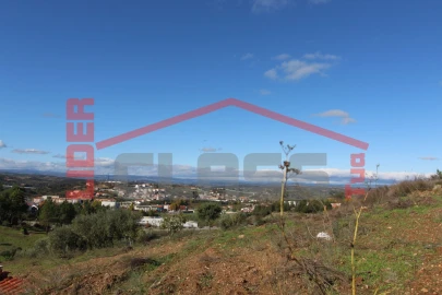 Terreno para Venda em Mirandela
