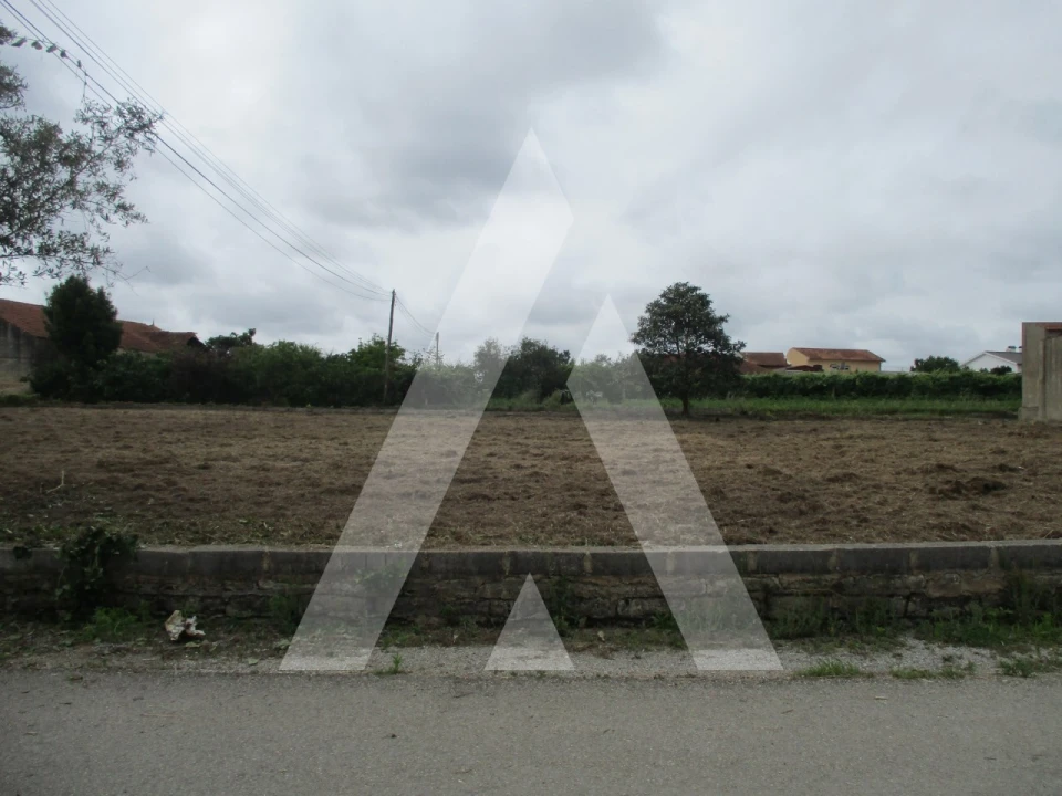Terreno para Venda em Bustos, Troviscal e Mamarrosa Foto 1