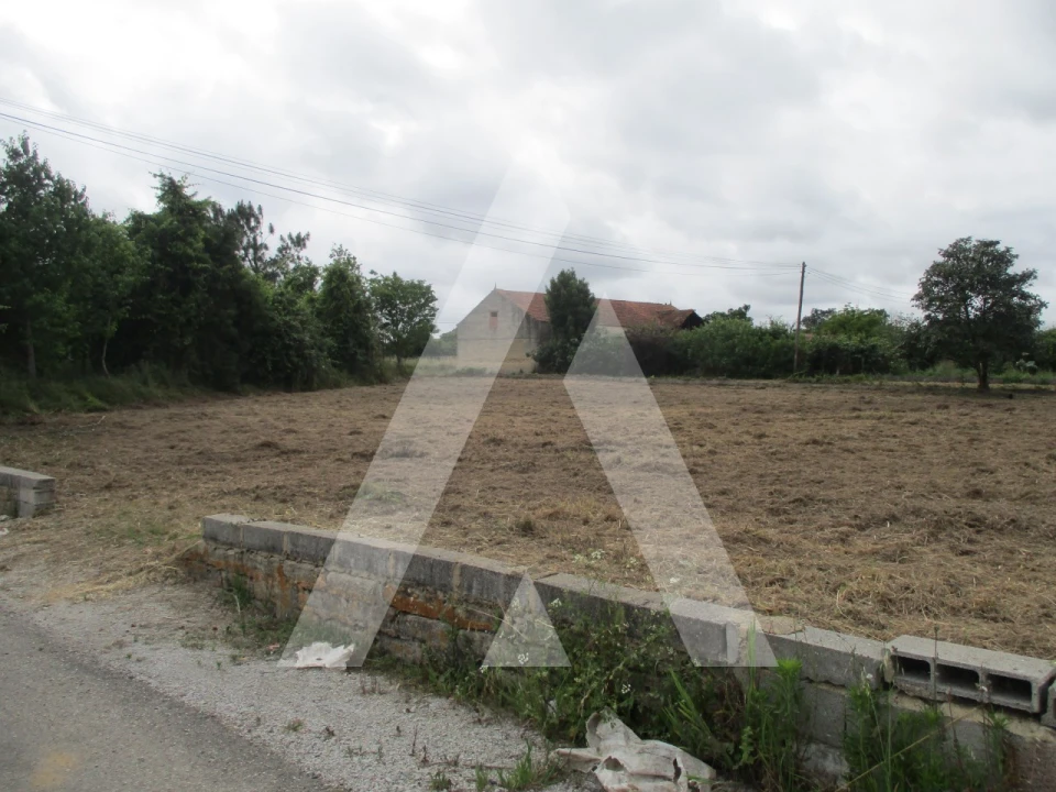 Terreno para Venda em Bustos, Troviscal e Mamarrosa Foto 2