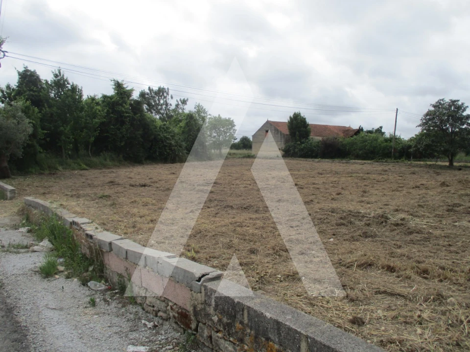 Terreno para Venda em Bustos, Troviscal e Mamarrosa Foto 5