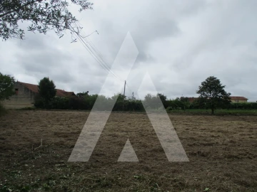 Terreno para Venda em Bustos, Troviscal e Mamarrosa