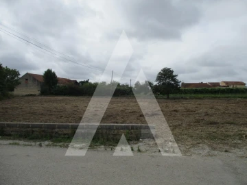 Terreno para Venda em Bustos, Troviscal e Mamarrosa