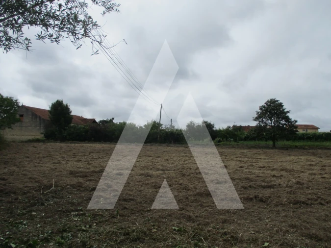 Terreno para Venda em Bustos, Troviscal e Mamarrosa Foto 3