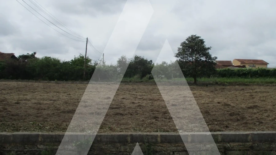Terreno para Venda em Bustos, Troviscal e Mamarrosa