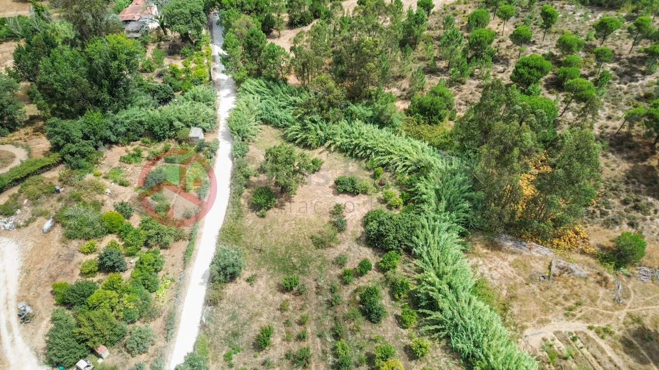 Terreno para Venda em Sesimbra (Castelo) Foto 7