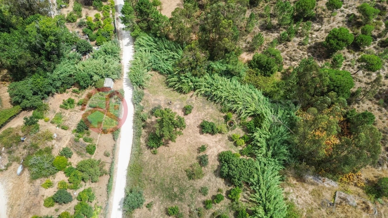 Terreno para Venda em Sesimbra (Castelo) Foto 8