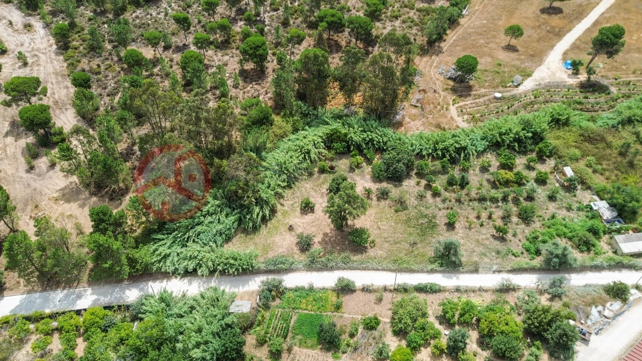 Terreno para Venda em Sesimbra (Castelo) Foto 12