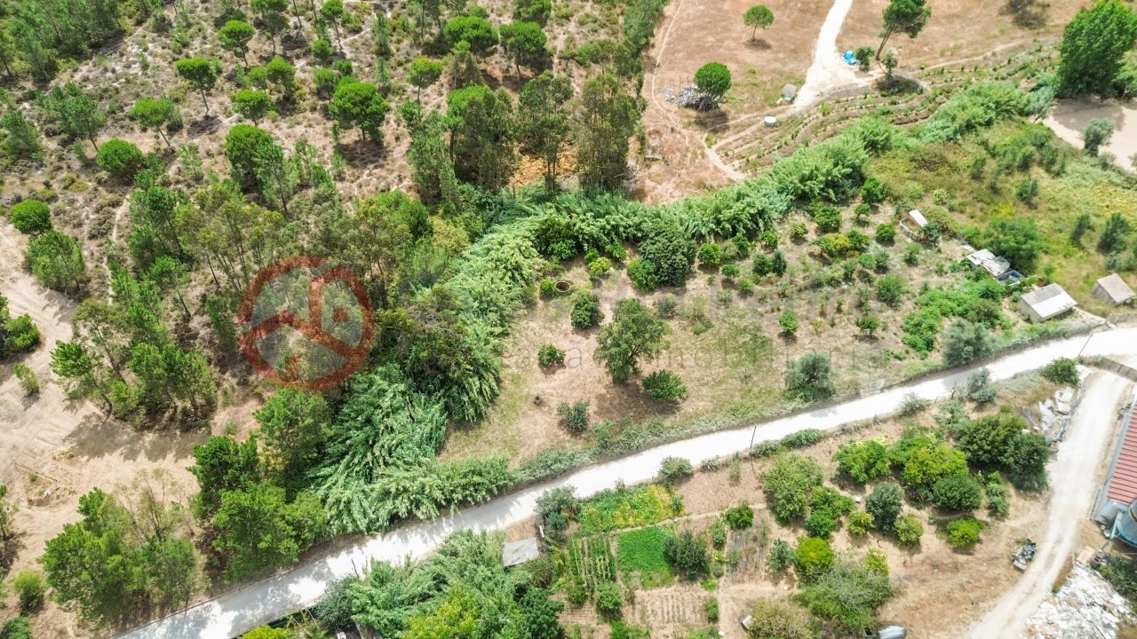 Terreno para Venda em Sesimbra (Castelo) Foto 13