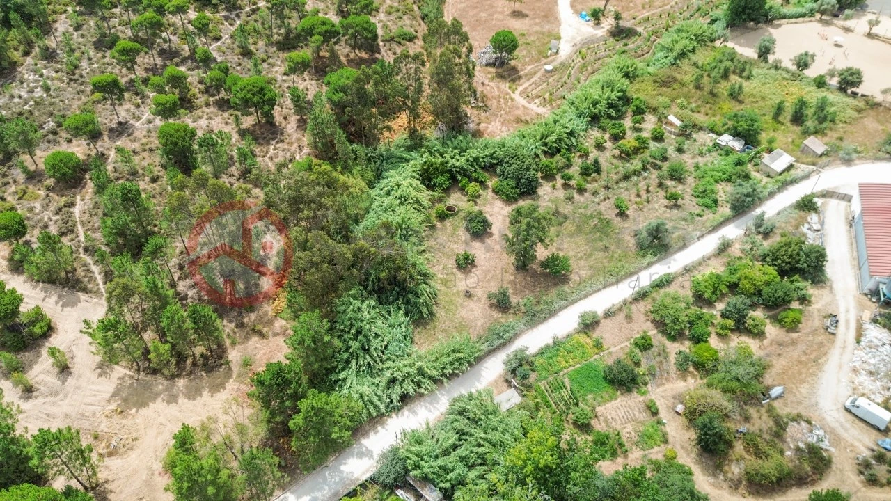 Terreno para Venda em Sesimbra (Castelo) Foto 14