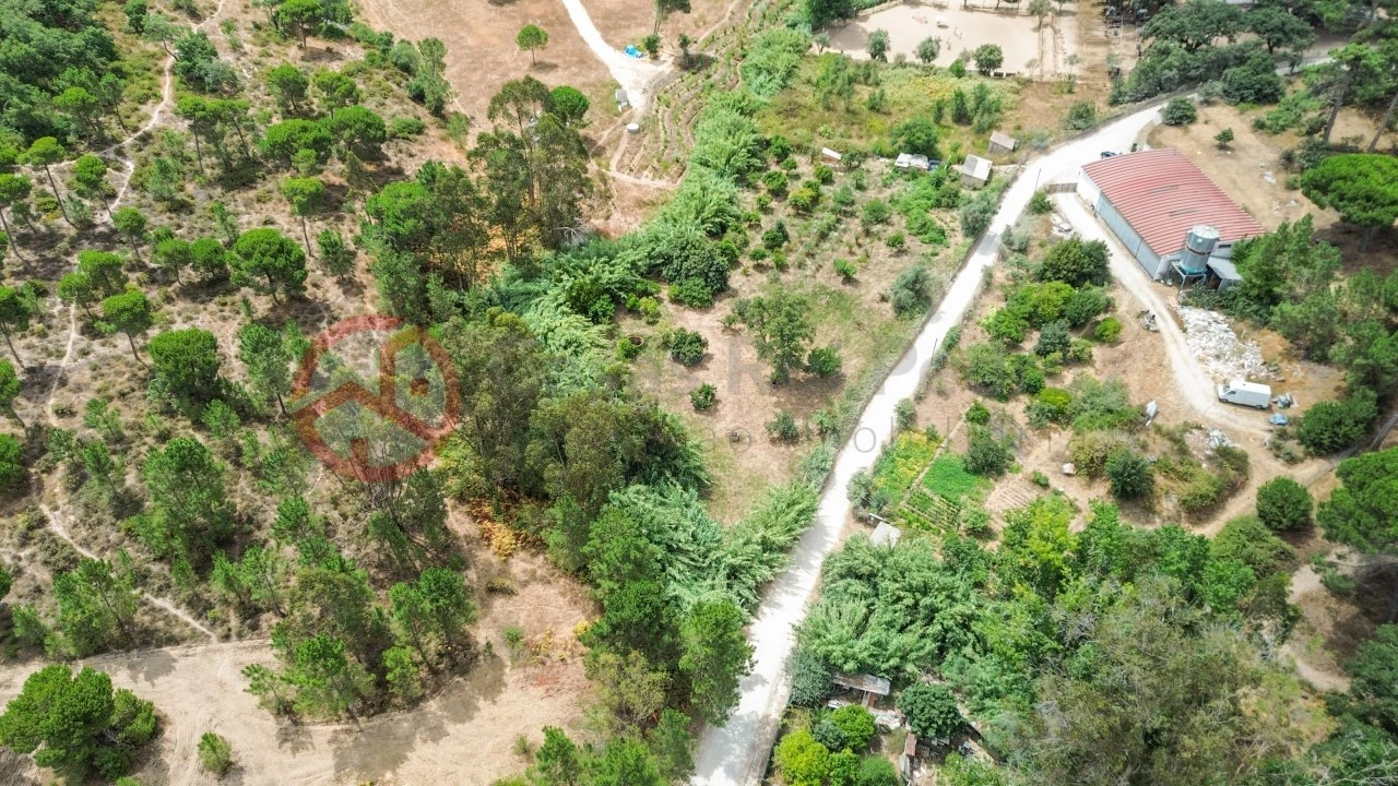 Terreno para Venda em Sesimbra (Castelo) Foto 15