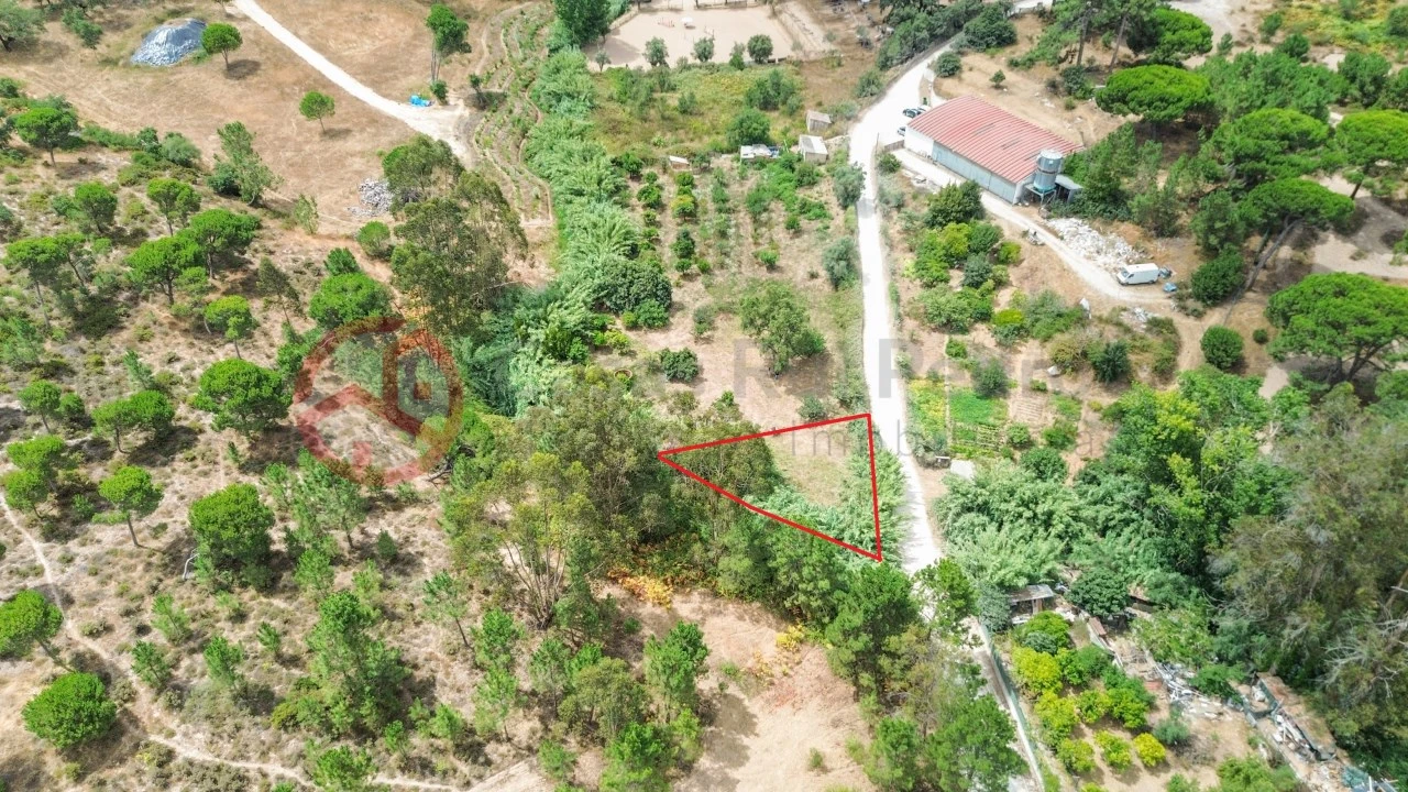 Terreno para Venda em Sesimbra (Castelo) Foto 16