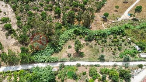 Terreno para Venda em Sesimbra (Castelo)