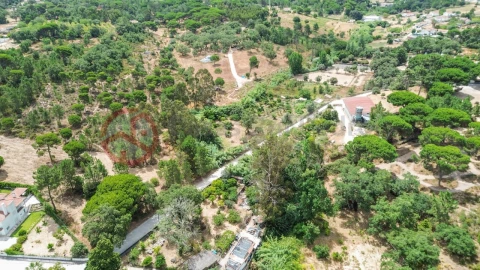 Terreno para Venda em Sesimbra (Castelo)